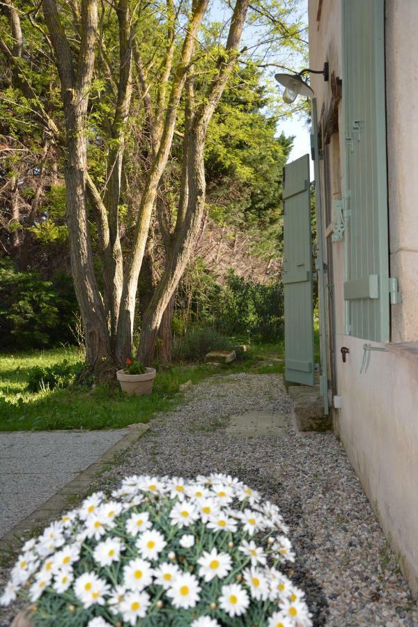 Le Mas De Panier Caderousse エクステリア 写真